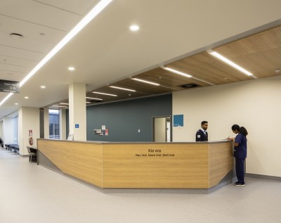Reception Area Energylight Te Nikau Grey Base Hospital